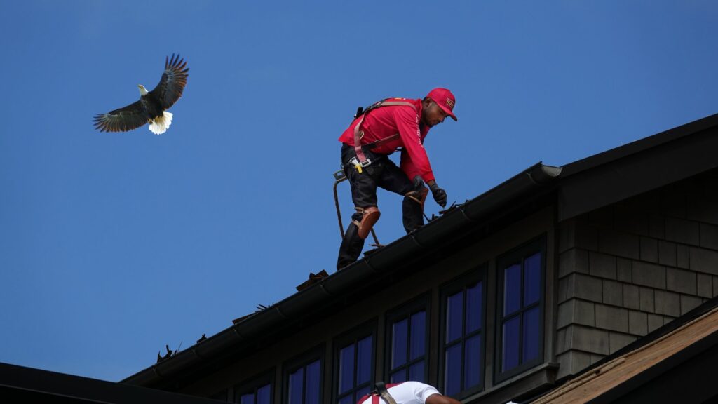 Working with an eagle - Hanley roofing
