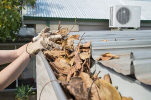 Gutter Guards